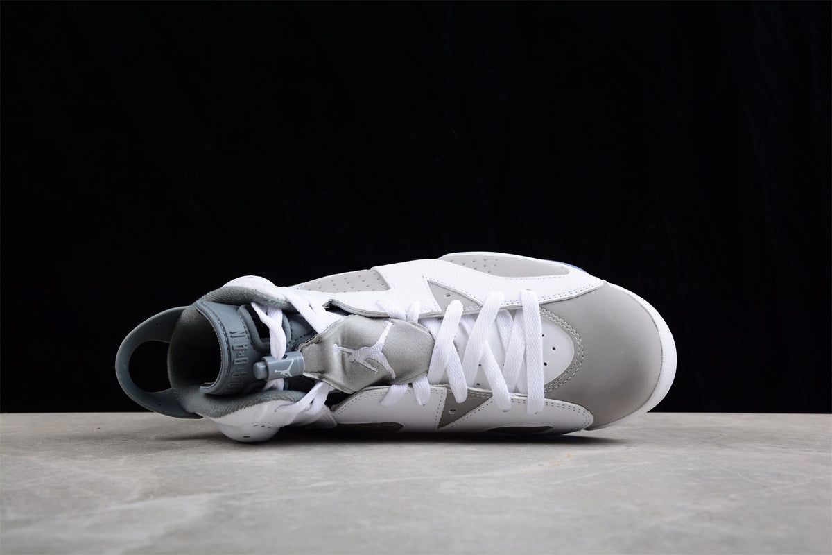 Air Jordan 6 "Cool Grey" AJ6