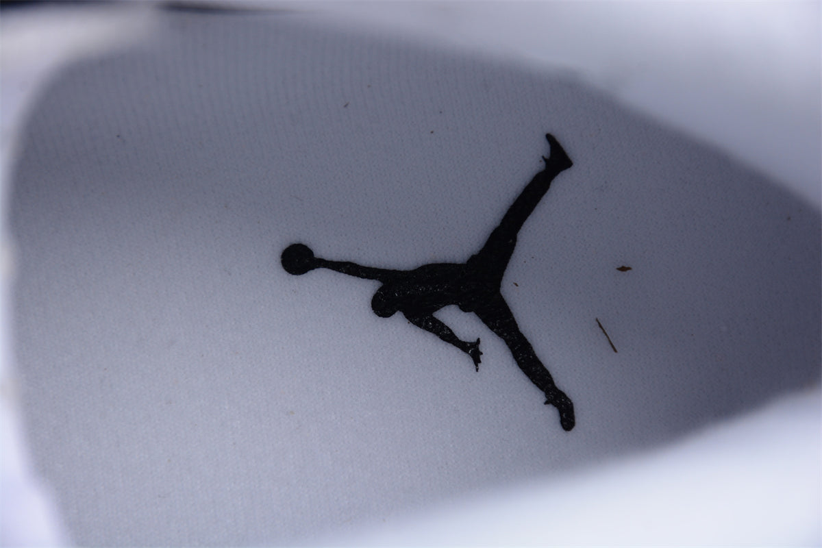 Air Jordan 6 Retro Reverse Oreo