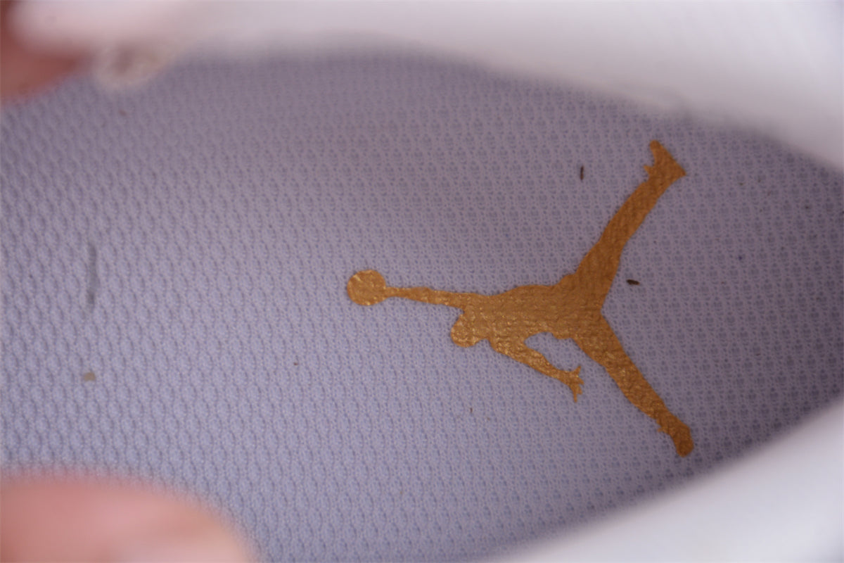 Air Jordan 6 Gold Hoops Retro AJ6