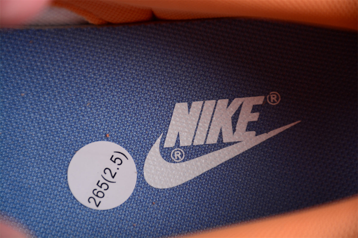Nike Dunk Low "Light Armory Blue" Beige
